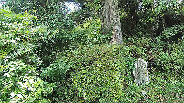 gx018996.mp4_snapshot_02.09_thumb.jpg