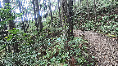 gx018998.mp4_snapshot_00.35_thumb.jpg