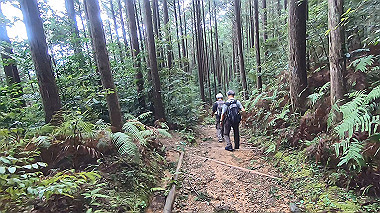 gx018999.mp4_snapshot_00.01_thumb.jpg