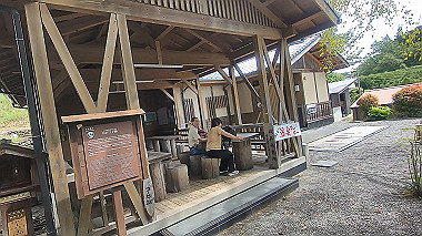 gx019003.mp4_snapshot_02.28_thumb.jpg