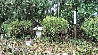 gx019004.mp4_snapshot_00.19_thumb.jpg