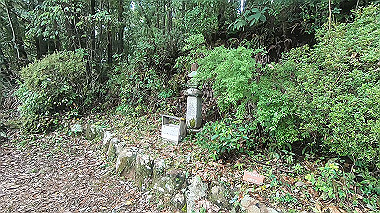 gx019004.mp4_snapshot_00.38_thumb.jpg