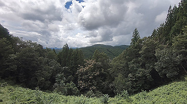 gx019005.mp4_snapshot_00.51_thumb.jpg