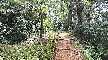 gx019006.mp4_snapshot_00.01_thumb.jpg