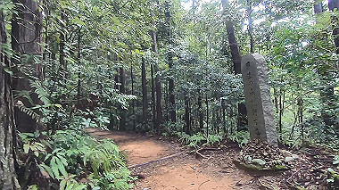 gx019006.mp4_snapshot_00.16_thumb.jpg