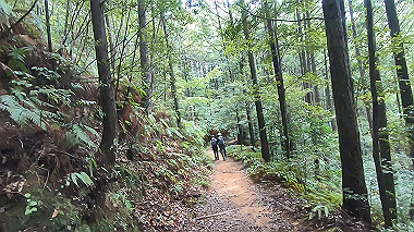 gx019006.mp4_snapshot_01.04_thumb.jpg