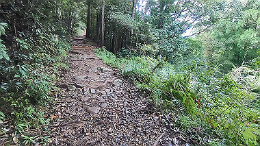 gx019009.mp4_snapshot_00.24_thumb.jpg
