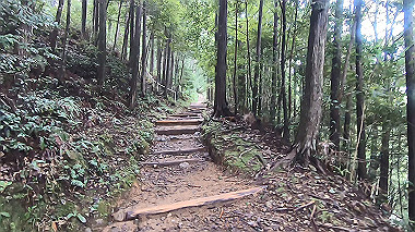 gx019009.mp4_snapshot_00.38_thumb.jpg