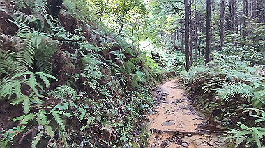 gx019010.mp4_snapshot_00.05_thumb.jpg