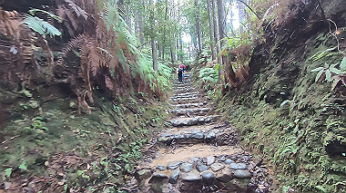 gx019011.mp4_snapshot_00.07_thumb.jpg