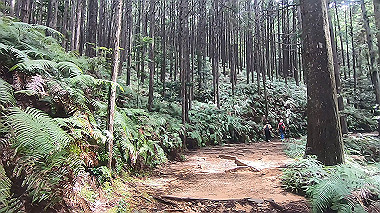gx019011.mp4_snapshot_01.56_thumb.jpg