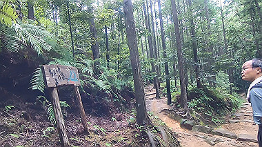 gx019012.mp4_snapshot_00.14_thumb.jpg