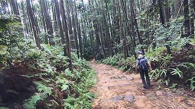 gx019012.mp4_snapshot_00.56_thumb.jpg