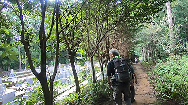 gx019013.mp4_snapshot_00.04_thumb.jpg