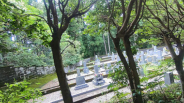 gx019013.mp4_snapshot_00.07_thumb.jpg