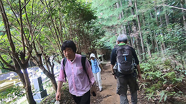 gx019013.mp4_snapshot_00.18_thumb.jpg