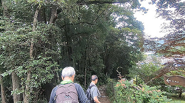 gx019013.mp4_snapshot_02.25_thumb.jpg