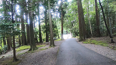 gx019015.mp4_snapshot_00.04_thumb.jpg