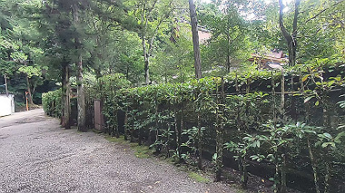 gx019015.mp4_snapshot_01.06_thumb.jpg
