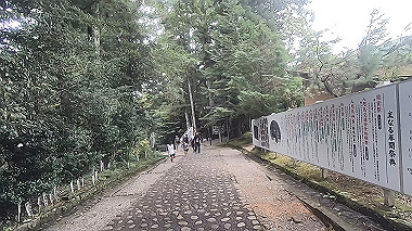 gx019018.mp4_snapshot_00.01_thumb.jpg