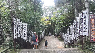 gx019018.mp4_snapshot_00.36_thumb.jpg