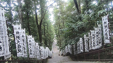 gx019018.mp4_snapshot_01.28_thumb.jpg