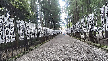 gx019018.mp4_snapshot_02.54_thumb.jpg