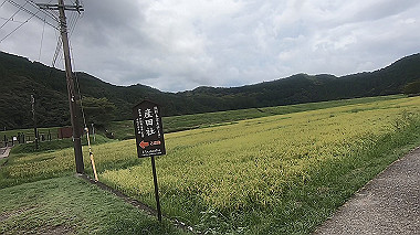gx019019.mp4_snapshot_00.01_thumb.jpg