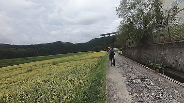 gx019019.mp4_snapshot_00.18_thumb.jpg