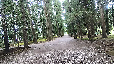 gx019020.mp4_snapshot_00.01_thumb.jpg
