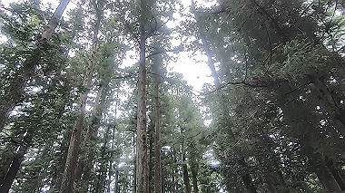 gx019020.mp4_snapshot_00.07_thumb.jpg
