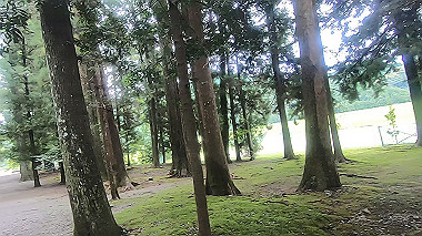 gx019020.mp4_snapshot_00.14_thumb.jpg