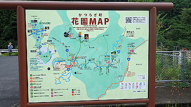p8235783_thumb.jpg