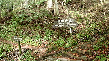 p8235795_thumb.jpg