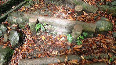 p8235796_thumb.jpg