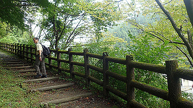 p8235798_thumb.jpg