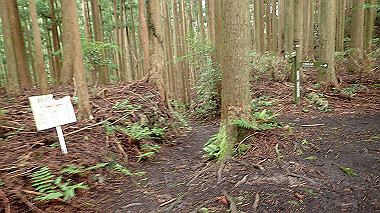 p8235800_thumb.jpg