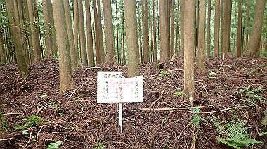 p8235801_thumb.jpg