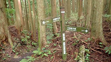 p8235802_thumb.jpg