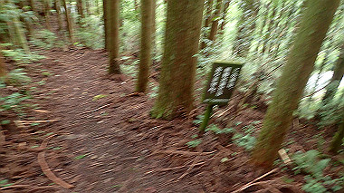 p8235804_thumb.jpg