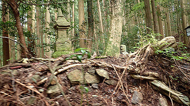 p8235806_thumb.jpg