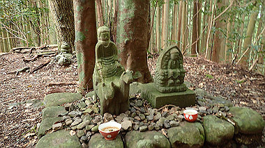 p8235808_thumb.jpg