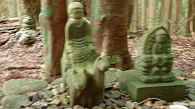 p8235809_thumb.jpg