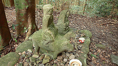 p8235811_thumb.jpg