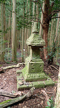 p8235813_thumb.jpg