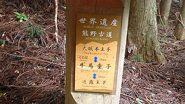 p8235815_thumb.jpg