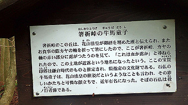 p8235816_thumb.jpg