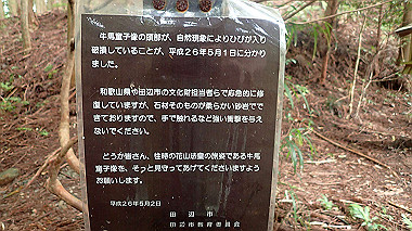 p8235818_thumb.jpg