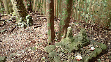 p8235819_thumb.jpg