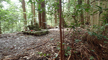p8235820_thumb.jpg